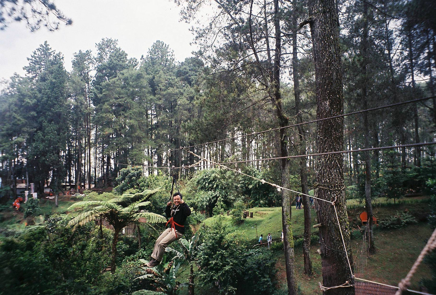 Fujifilm Silvi 70