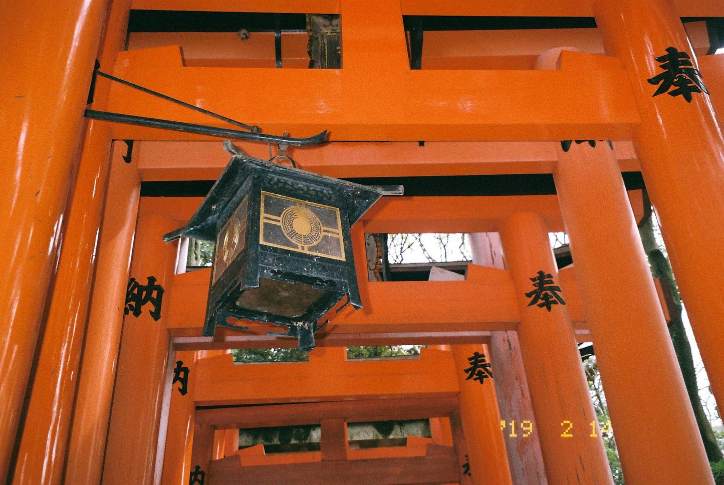 Canon Autoboy Ai AF Zoom