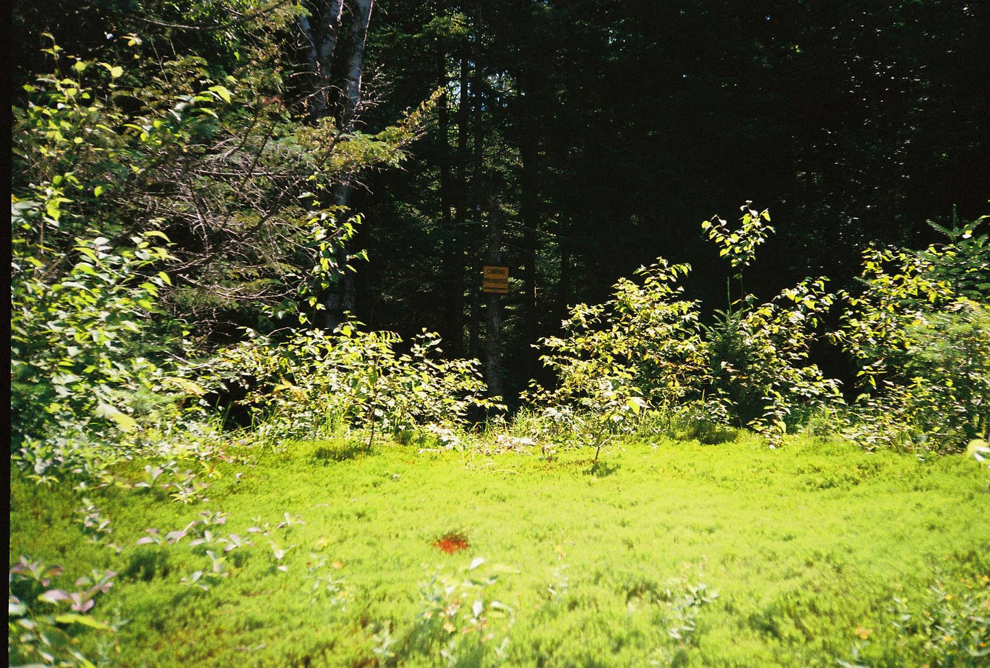 Fujifilm Discovery 90