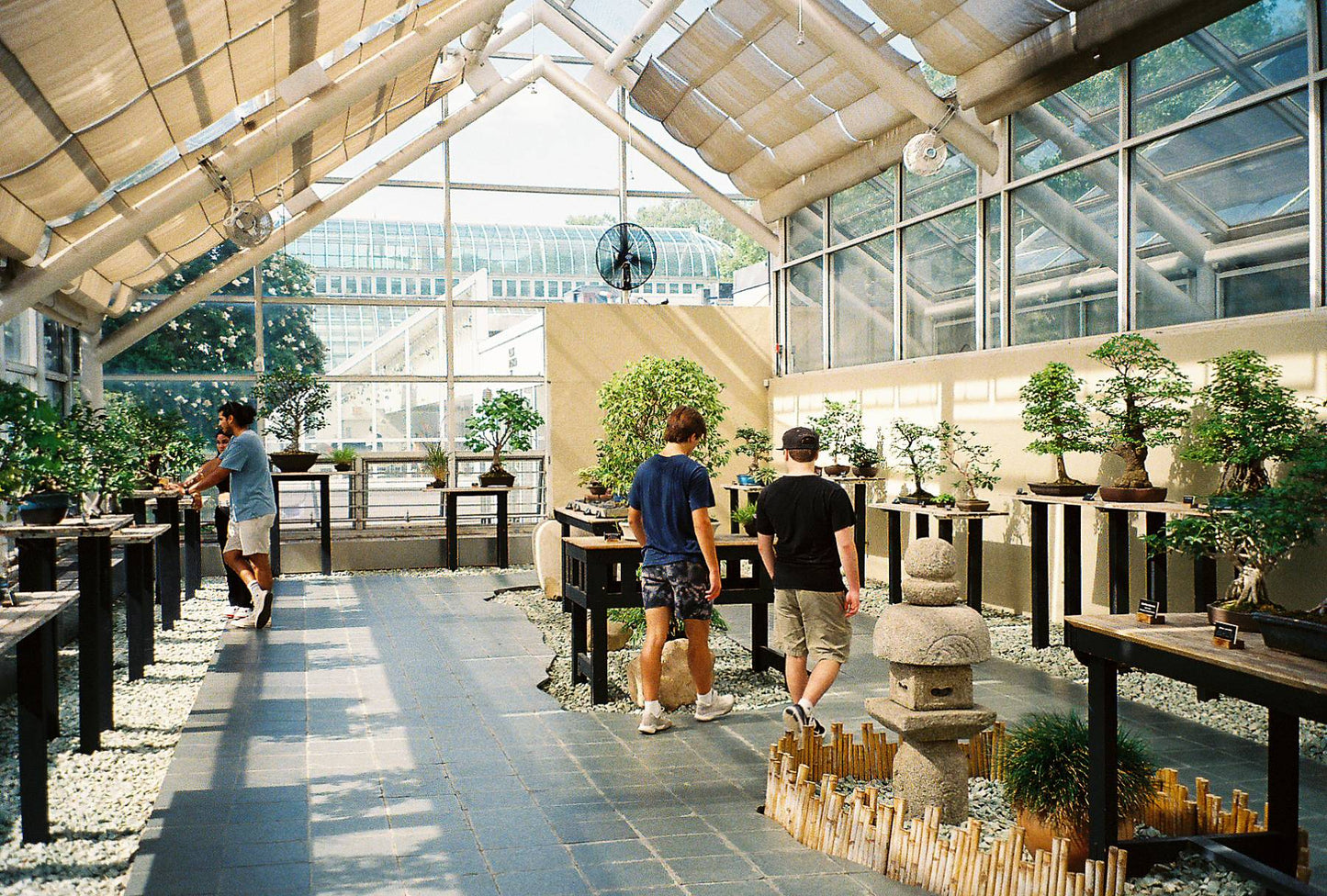 Pentax Espio 150SL