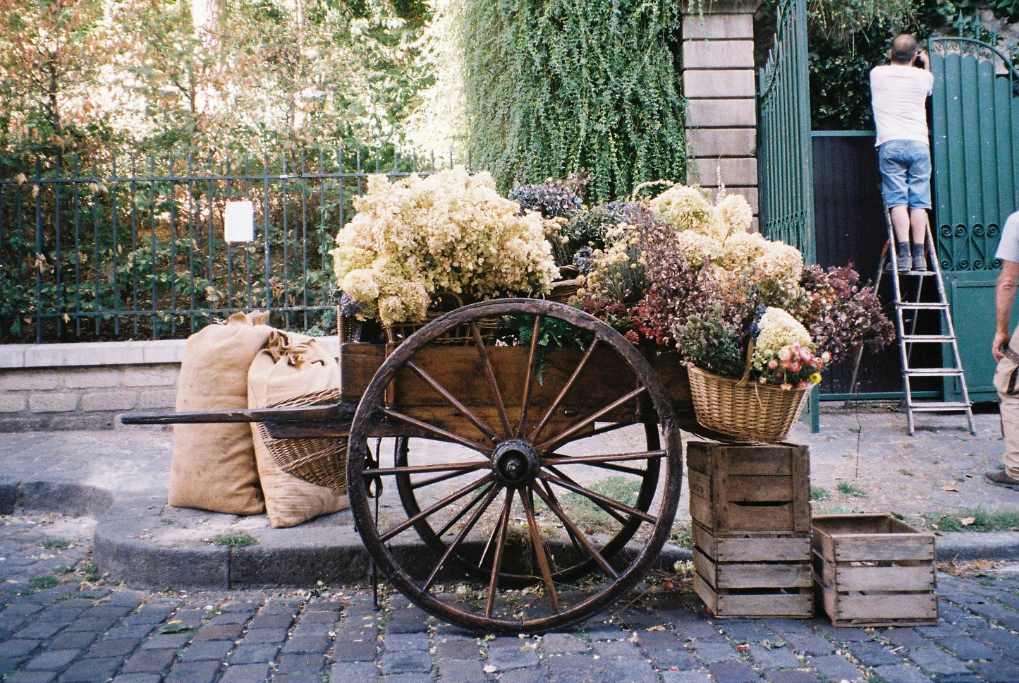 Pentax Espio 928
