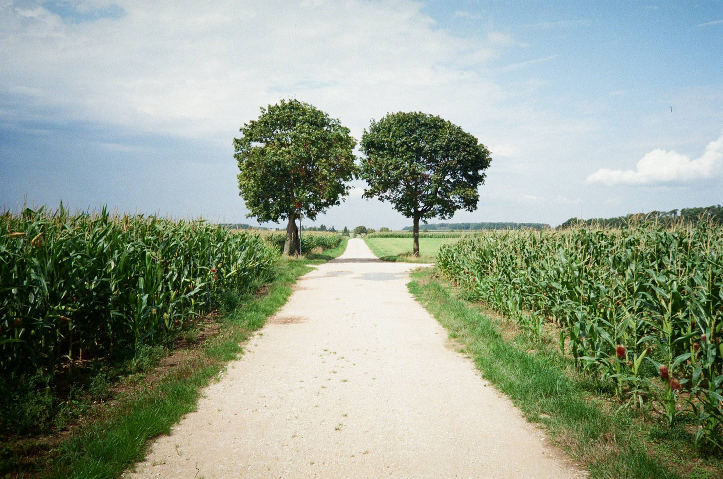 Olympus AF-10