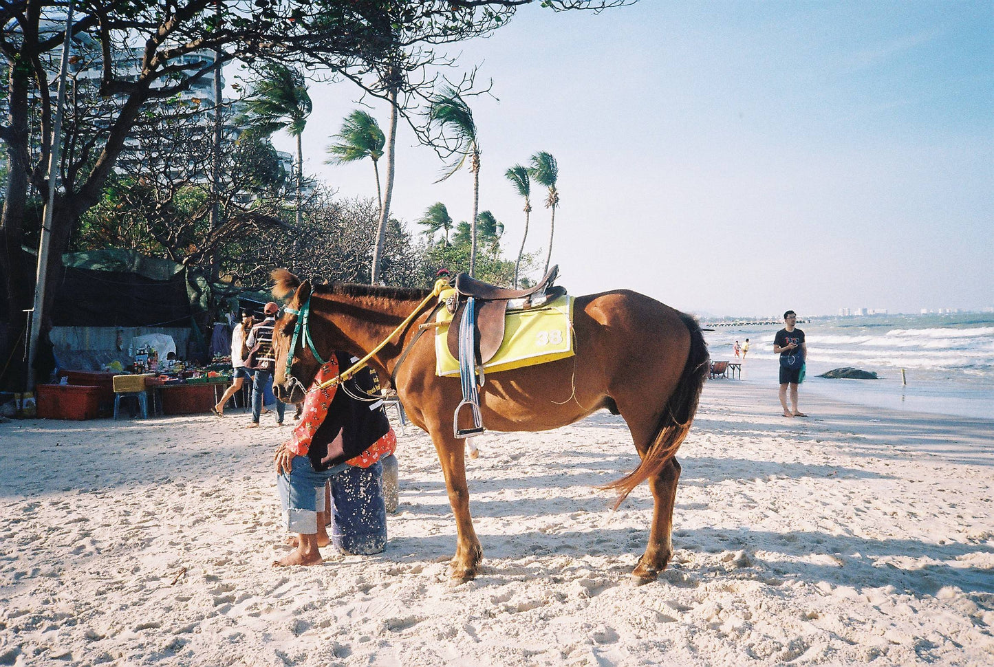 Fuji Zoom Cardia 600