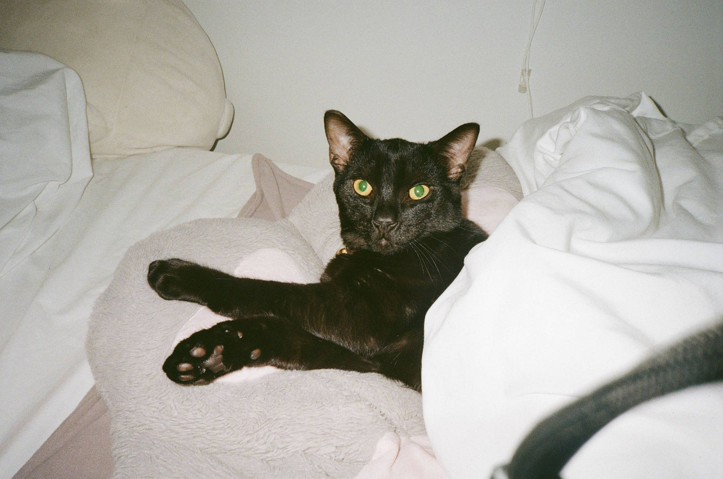 Fuji DL-600