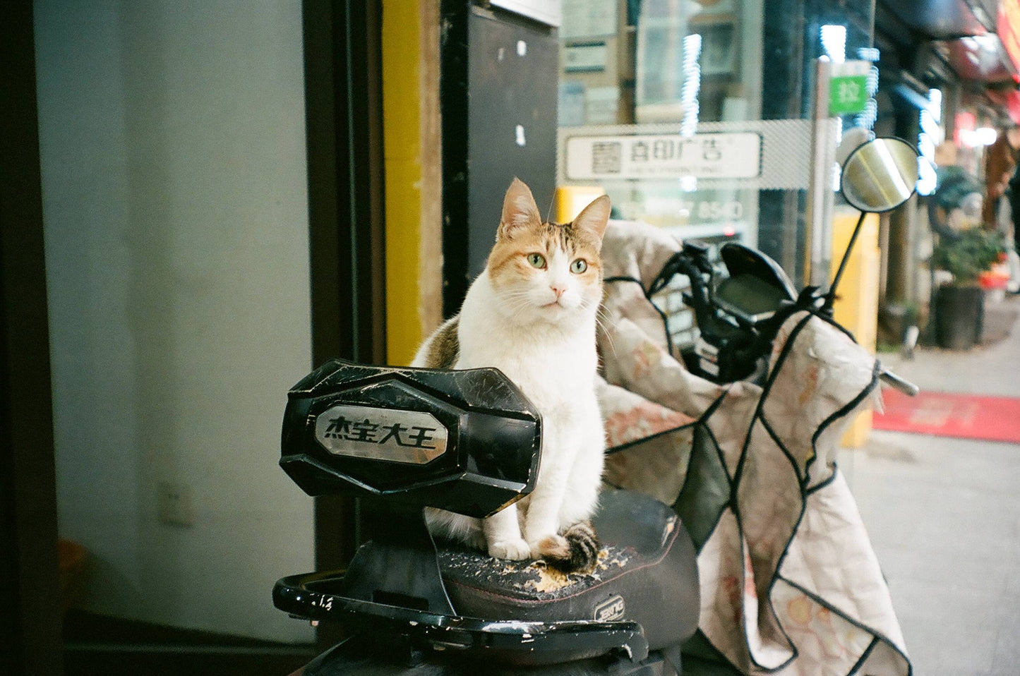 Olympus OZ 105R
