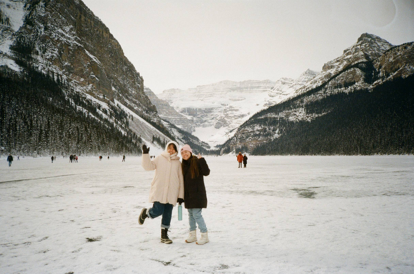 Fuji DL-600