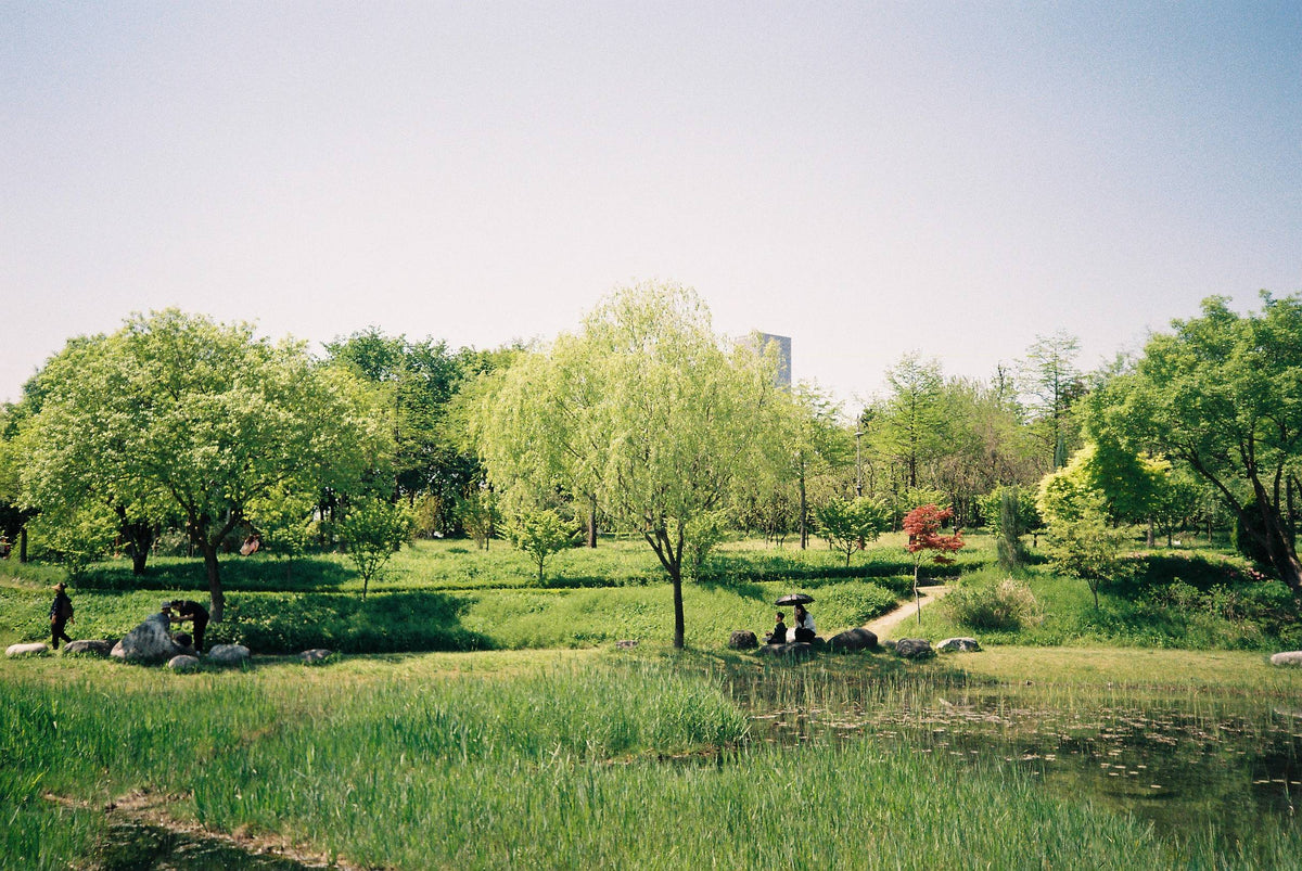 Canon Autoboy F