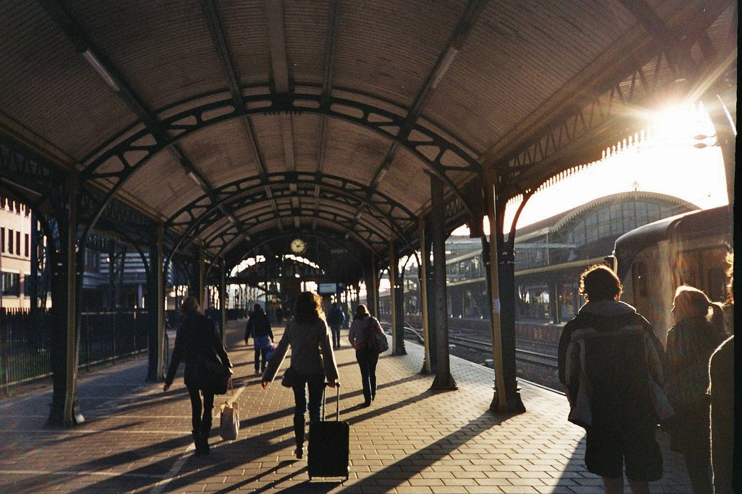 Ricoh YF-20D