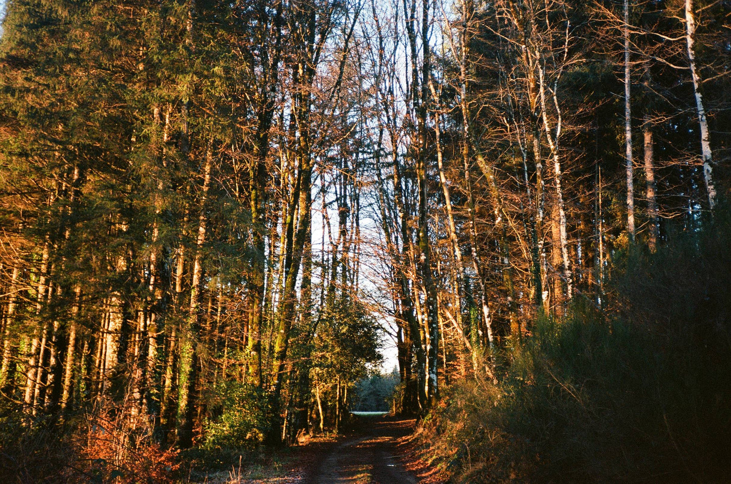 Konica MR640