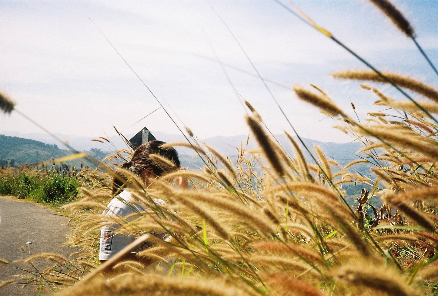 Ricoh LX 22