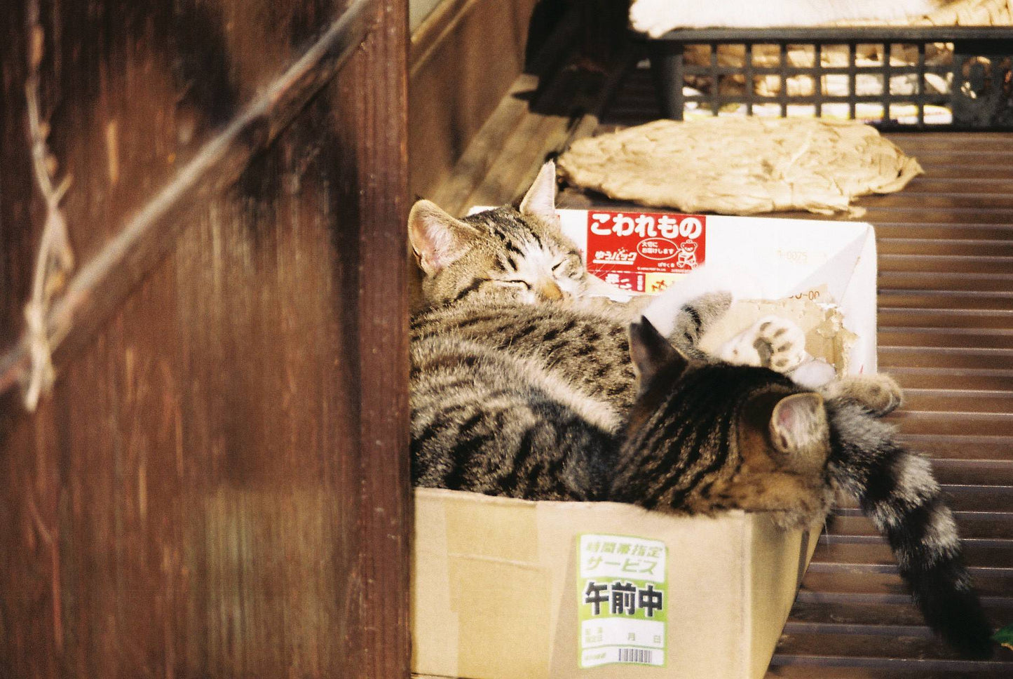 Ricoh Myport 330 Super